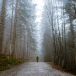 LINES WRITTEN IN EARLY SPRING