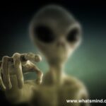 Search for Aliens