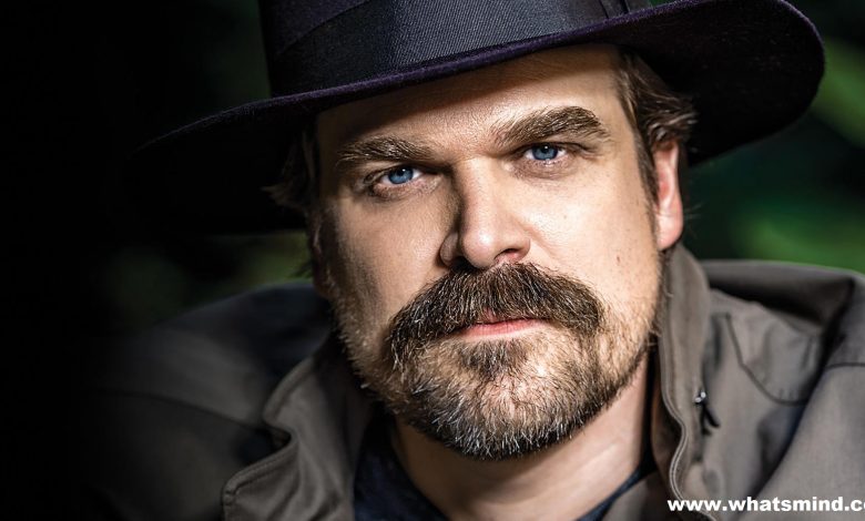 David Harbour movies and tv shows: The masterful exclusive detail.