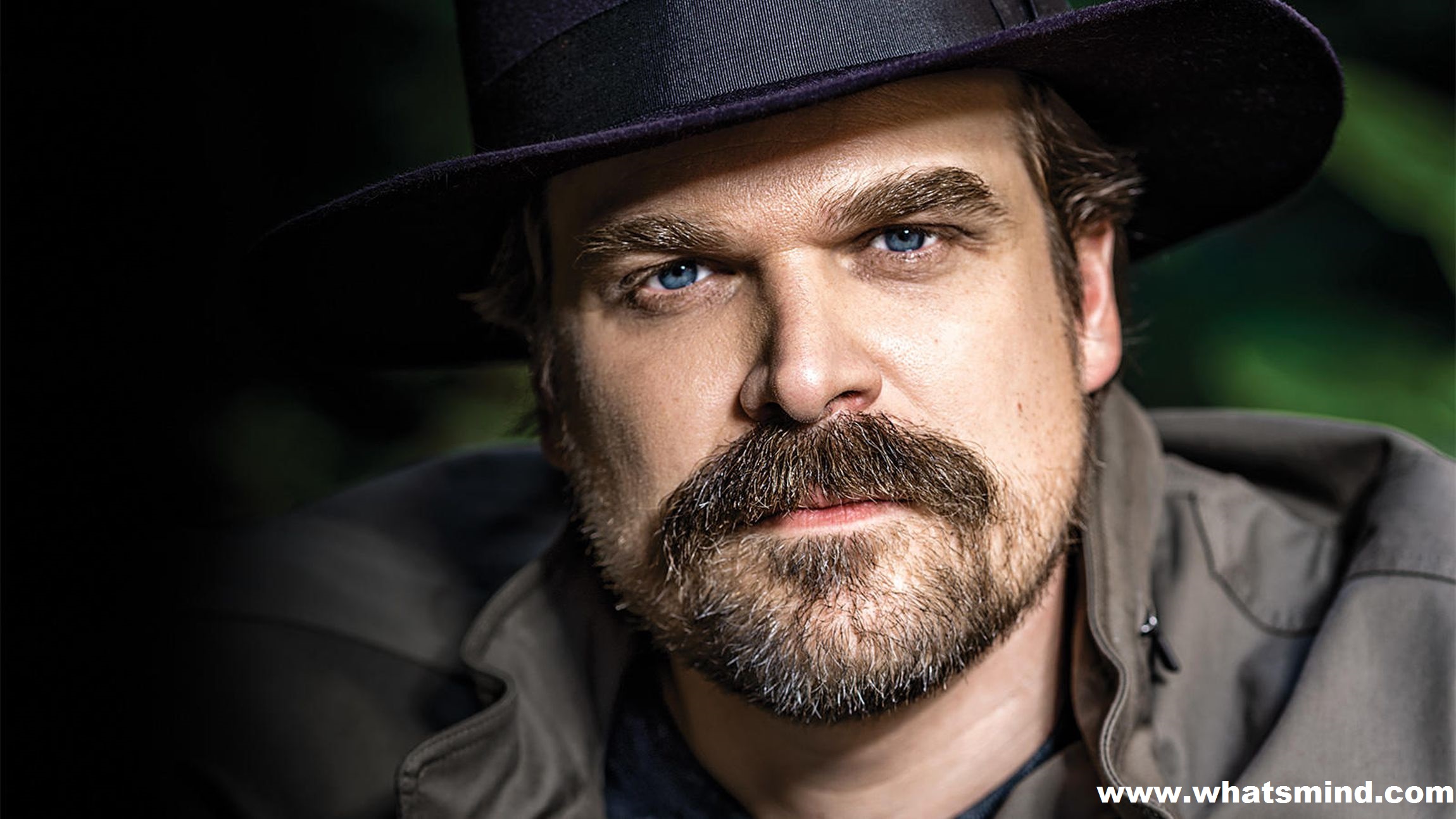 David Harbour movies and tv shows: The masterful exclusive detail.