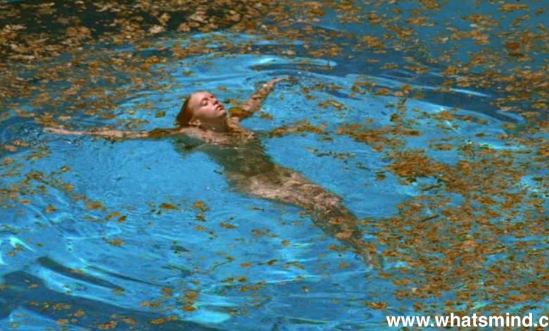 Top 24 Charming Films Like Swimming Pool Movie-Whatsmind