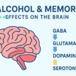 Which part(s) of the brain when impaired by alcohol play an important role in memory