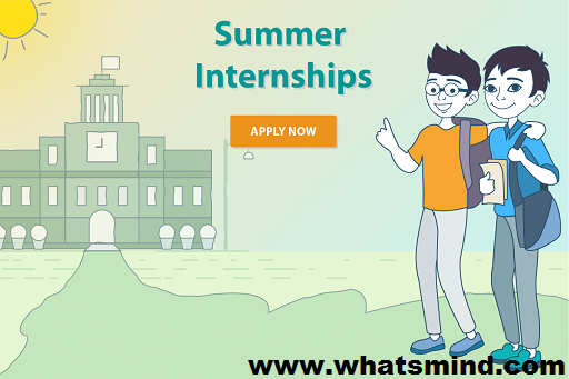 How to apply for a summer internship in international companies?