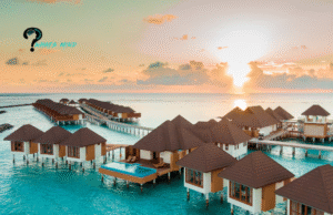 Best time to Visit Maldives - Whatsmind