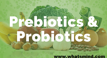 How to Combine Probiotics and Prebiotics for Best Results?