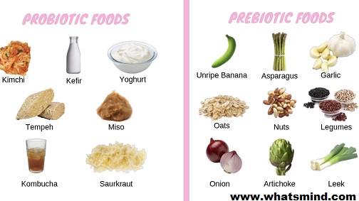 How to Combine Probiotics and Prebiotics for Best Results?