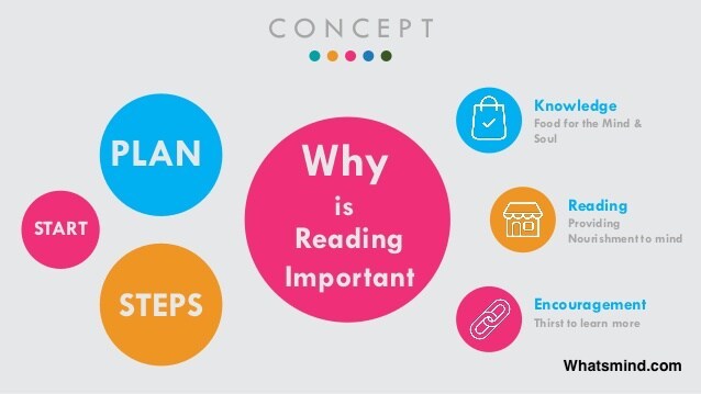 Stretch Your Mind: What Is the Importance of Reading? 