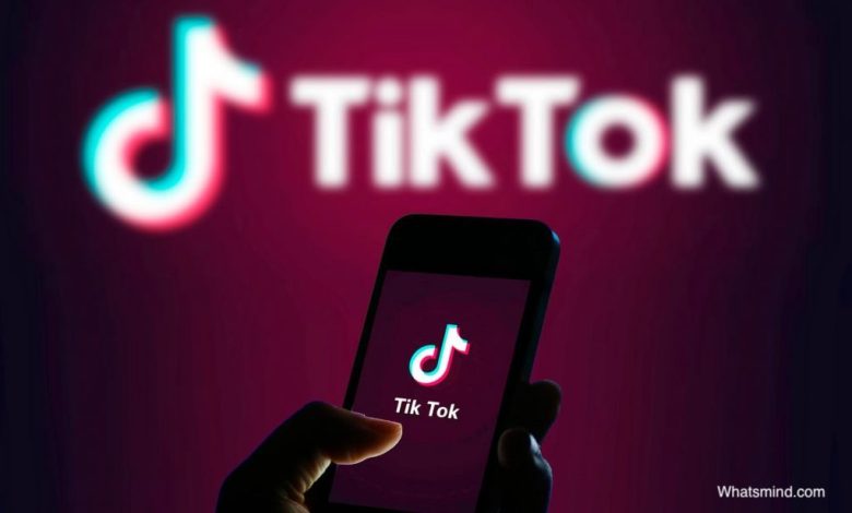 How to leverage brand using Tiktok marketing