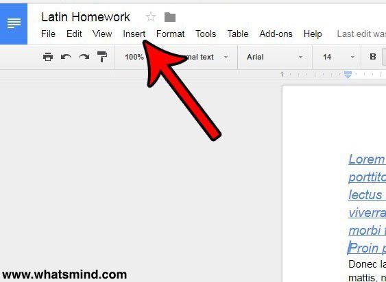 How to add text box in Google Docs?  