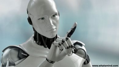What Is the Future in Robotics? 2022 In Focus