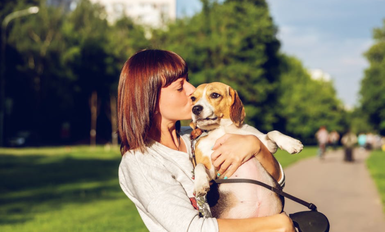 The 5 Best Careers for Animal Lovers