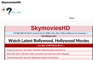Is SkymoviesHD a Legal Site to Download Movies?
