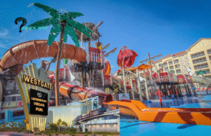 Choosing The Right Westgate Restaurant For Eating Out