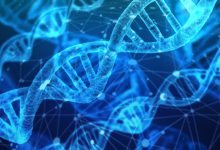 3 Uses Of Genetic Testing That You Need To Know About