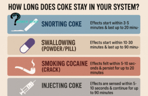 How Long Does Coke Stay in Your System?