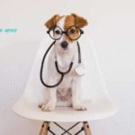 4 Tips for Keeping Your Dog Happy and Healthy 