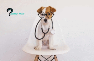 4 Tips for Keeping Your Dog Happy and Healthy 