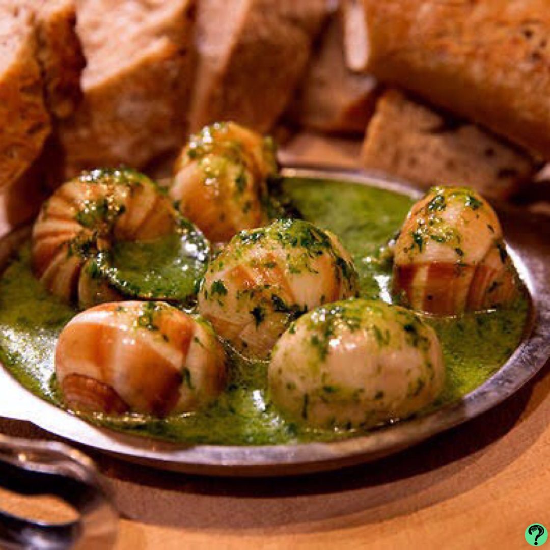 What actually the Escargot is? A savory hors d’oeuvre