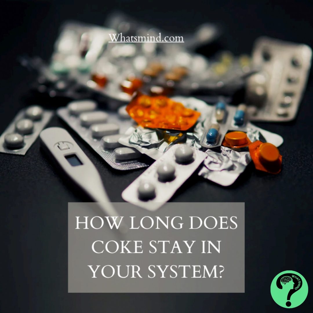 How Long Does Coke Stay in Your System? Scientific Facts!