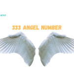 Facts you shouldn’t ignore about 333 Angel number!! 