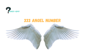 Facts you shouldn’t ignore about 333 Angel number!!