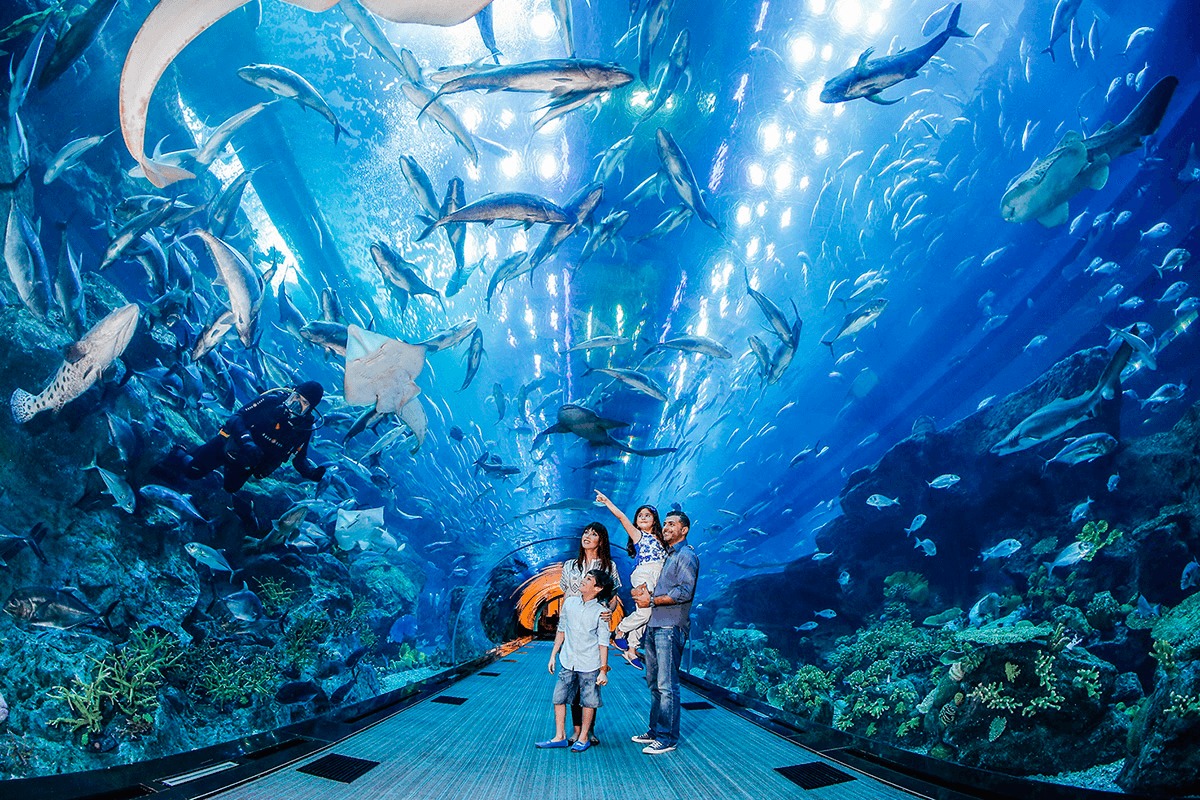 All You Need to Know About Dubai Aquarium
