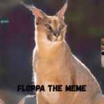 Is Floppa the most searched meme on Google?
