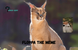  Is Floppa the most searched meme on Google?