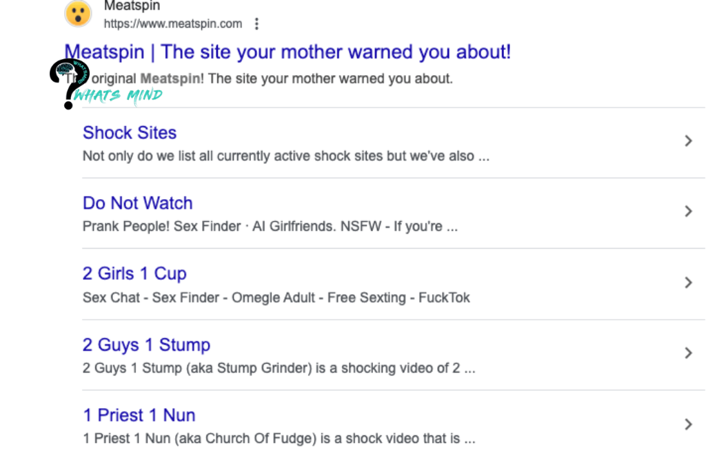 Is Meatspin An Atrocious And Obnoxious Website?