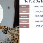 Best time to post on TikTok a complete guide by whatsmind