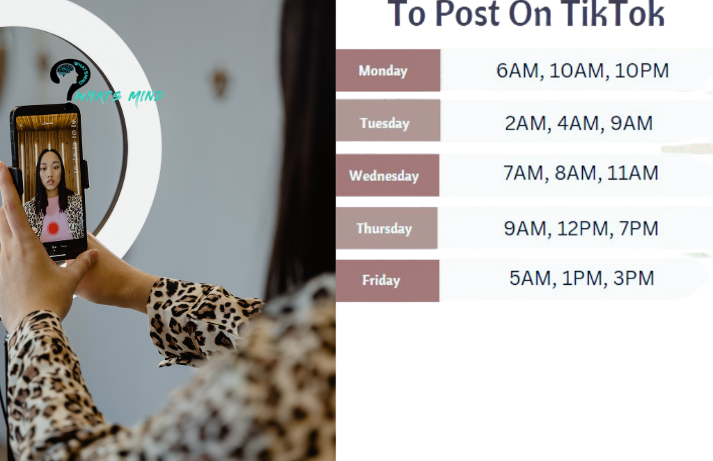 Best time to post on TikTok a complete guide by whatsmind