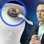 Elon Musk In 2022 Neuralink Start To Implantation Of Brain Chips In Humans