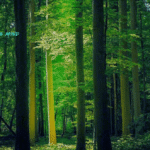 Is Biocentrism Debunked? Does Time and Space Exist in our Minds?