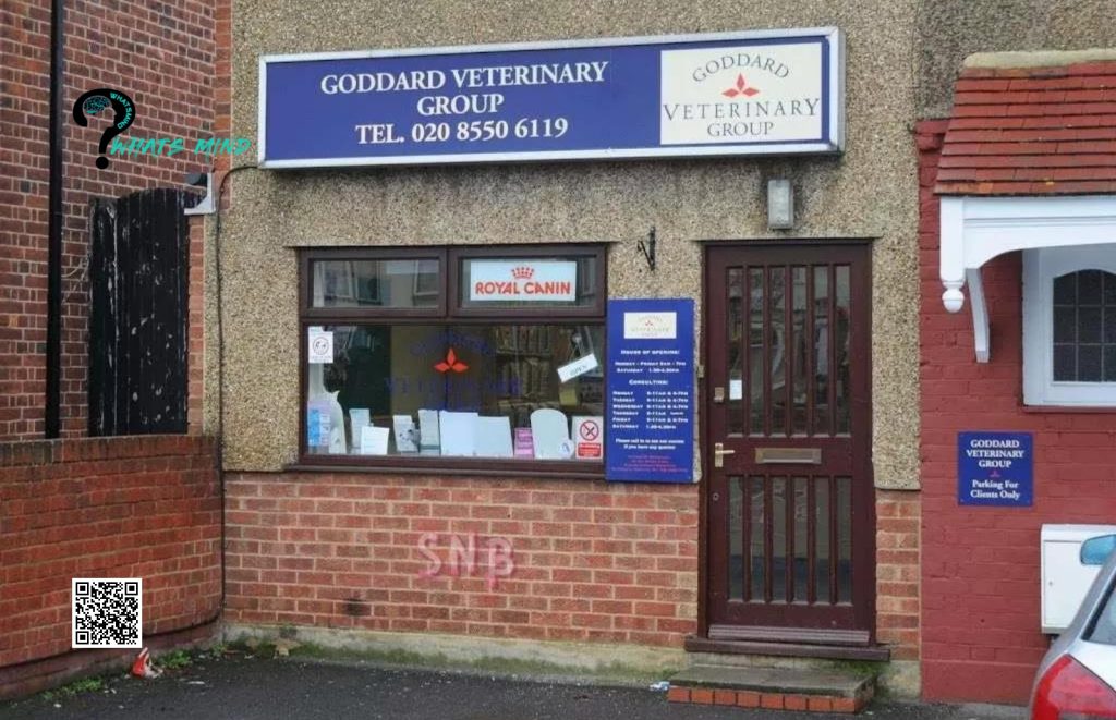 Goddard Veterinary Group Chalfont St Peter Lower Road Chalfont Saint Peter Gerrards Cross