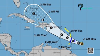 How Does Invest 98L Spaghetti Model Work?