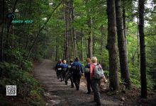 Nightmares of Wilderness Therapy Revealed During Trails Carolina "Investigation"