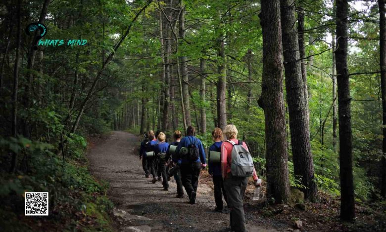 Nightmares of Wilderness Therapy Revealed During Trails Carolina  "Investigation"
