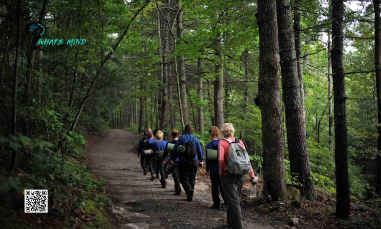 Nightmares of Wilderness Therapy Revealed During Trails Carolina Investigation