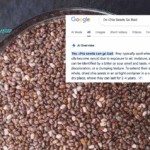 Do Chia Seeds Go Bad: Origin, Spoilage Indications & Chia Seeds Recipes