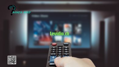 Everything about the New Best Video Streaming Website Levidia.ch