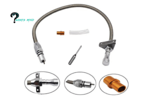 How to Buy Guide of Shemale Tube, Pros, Features and Lifespan