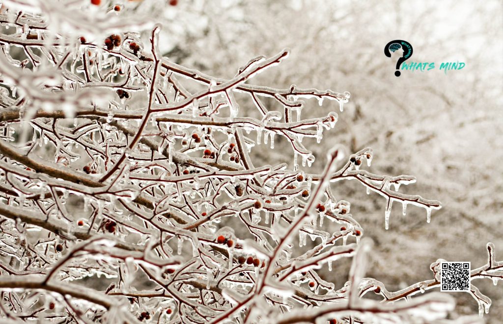What are the Basic Terms of the Winter Storm Warning? | Freezing Rain