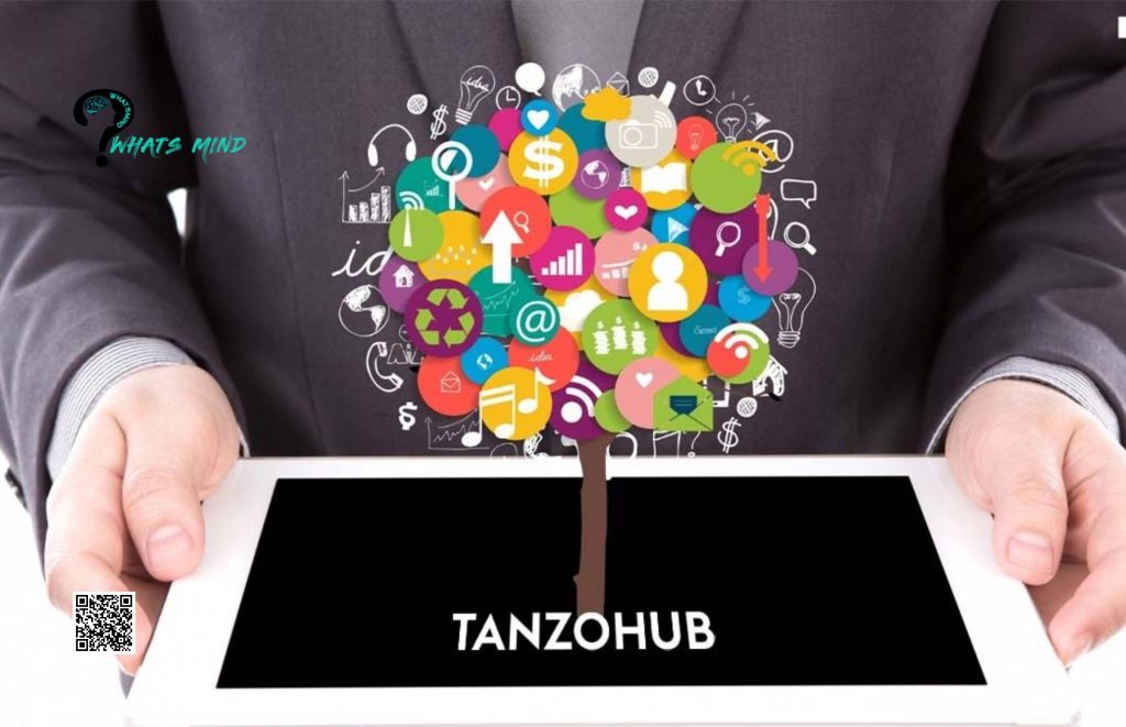 How Does TanzoHub Work?