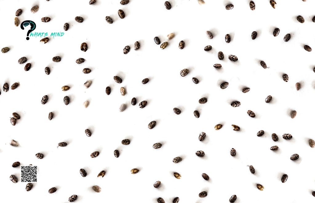 Origin and Why Do Chia Seeds Go Bad?