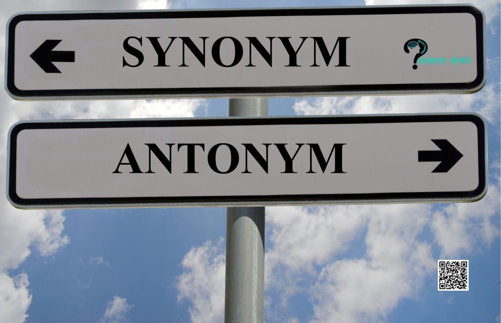 wordhippo Synonyms and Antonyms