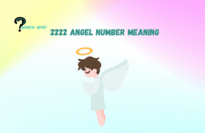 What does the 2222 angel number meaning about Love, Relationships, Career, and Twin Flame
