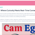 Is Camegle Safe to Use for Anonymous Chatting?