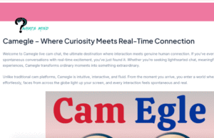 Is Camegle Safe to Use for Anonymous Chatting?