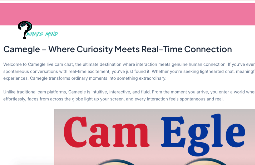 Is Camegle Safe to Use for Anonymous Chatting?