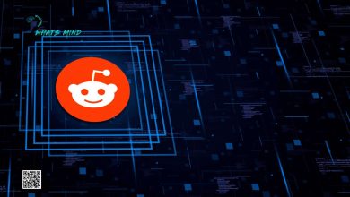 NetReputation Reddit: Create Professional Account, Usage, Pros & Cons, Attributes